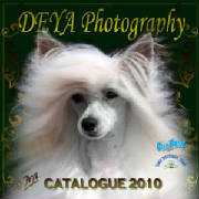 DEYA Photography - CATALOGUE 2010