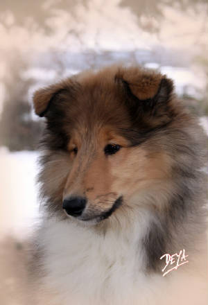 Photo by DEYA