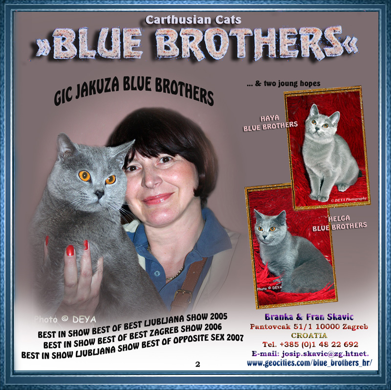 DEYA CATALOGUE 2007 - 2 Page - Blue Brothers Carth