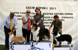 BEST OF GROUP KOPER 2011