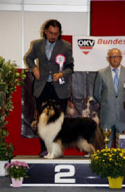 r, BEST OF GROUP - TULLN 2011