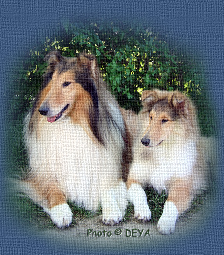 Photo © DEYA